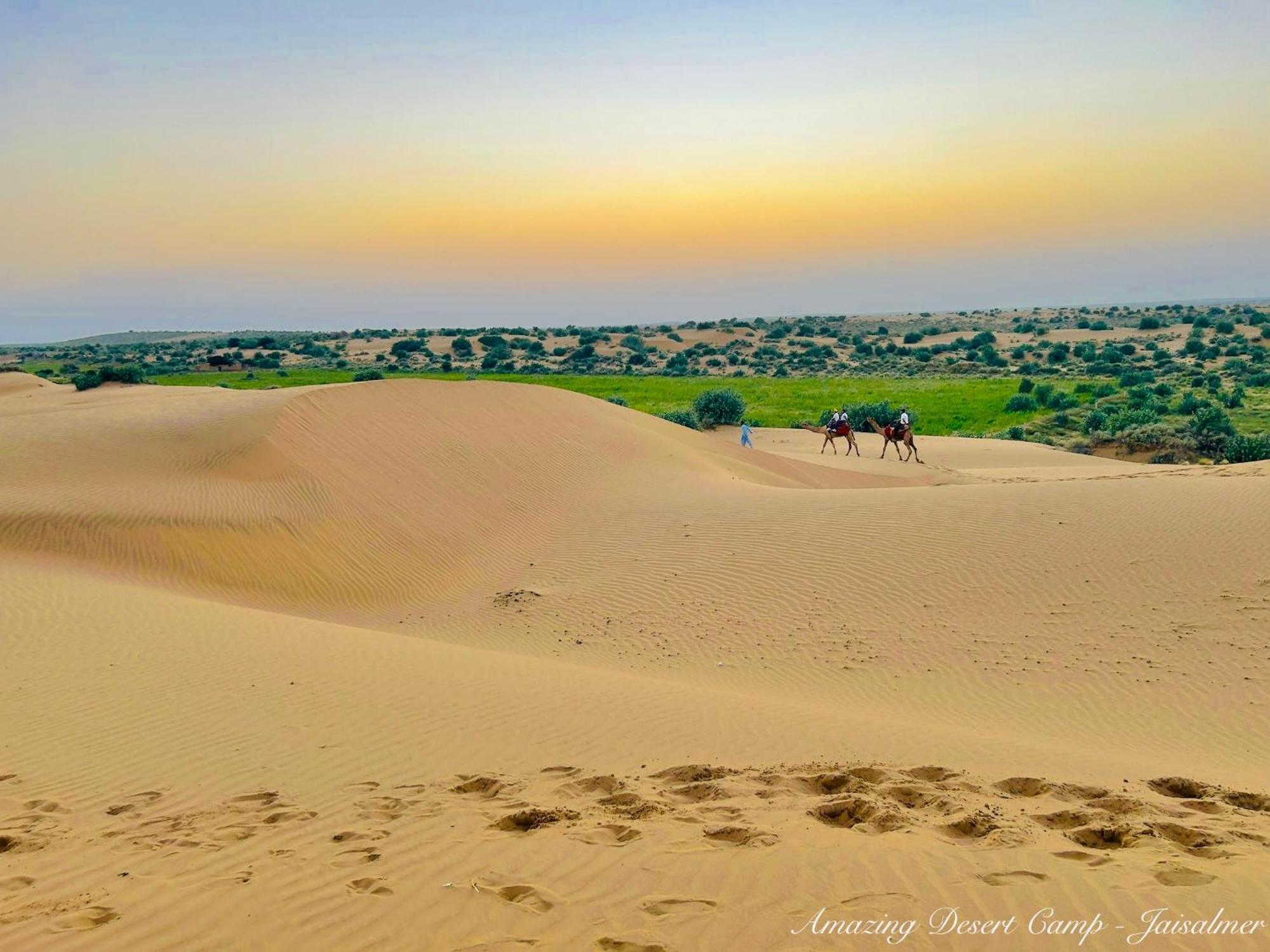 ג'איסלמר Amazing Desert Camp מראה חיצוני תמונה